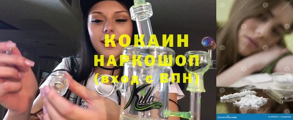 гашик Алексин