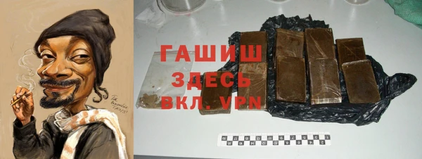 гашик Алексин