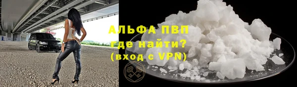 гашик Алексин