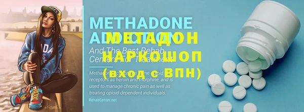 гашик Алексин