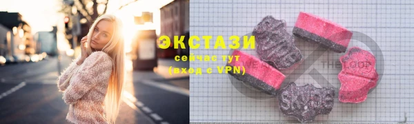 гашик Алексин