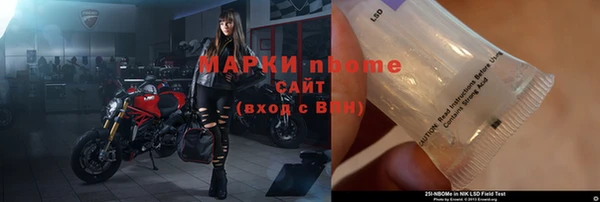 гашик Алексин