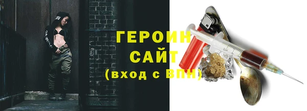 гашик Алексин