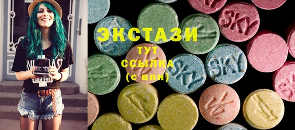 гашик Алексин