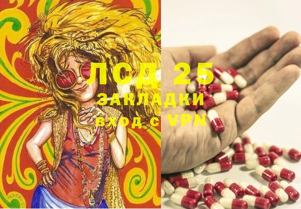 эйфоретик Алзамай