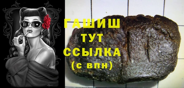 гашик Алексин