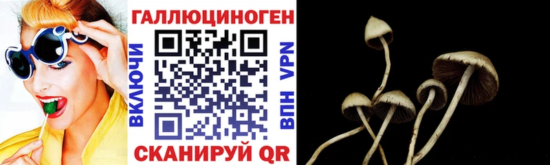 наркота  Апшеронск  Галлюциногенные грибы Psilocybe 