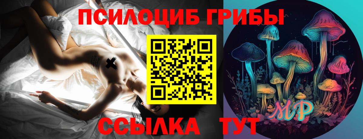 Галлюциногенные грибы Psilocybine cubensis  Вход с VPN  Апшеронск  даркнет сайт  Галлюциногенные грибы ЛСД 