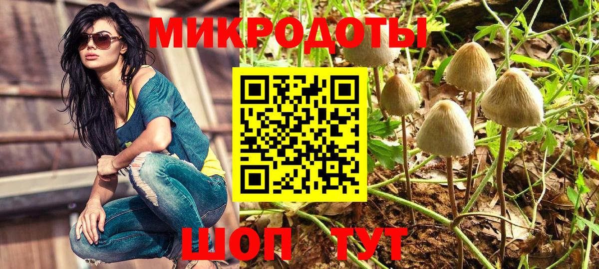 Апшеронск  Галлюциногенные грибы Cubensis  Галлюциногенные грибы Cubensis  Вход с VPN 